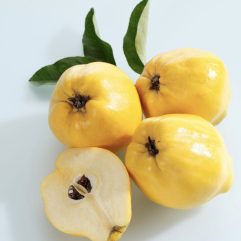 Fresh UK-grown quince fruit
